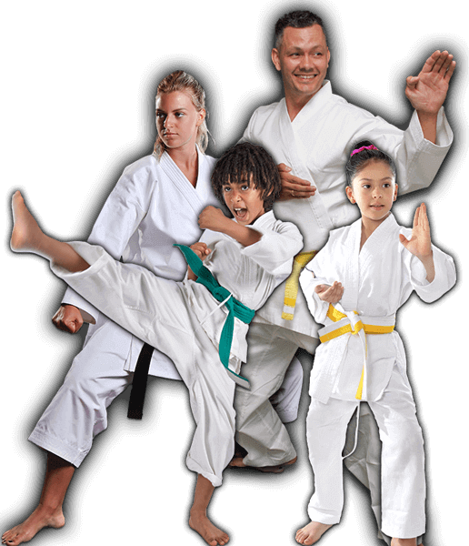 Martial Arts Lessons for Families in Aurora IL - Green Belt Kid Adult Group Banner