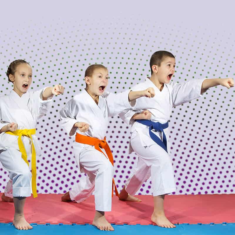 Martial Arts Lessons for Kids in Aurora IL - Punching Focus Kids Sync