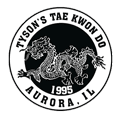 Martial Arts Lessons for Kids in Aurora IL - Kids Adults Group Martial Arts